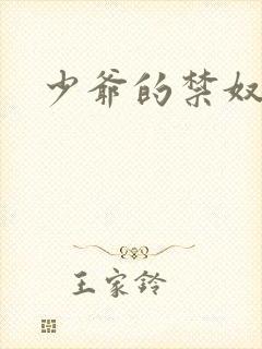 少爷的禁奴