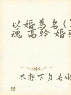 以婚为名 (军魂 高干 婚恋)