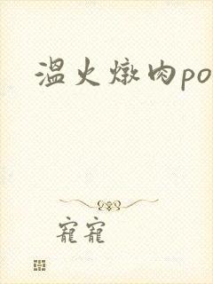 温火炖肉pop