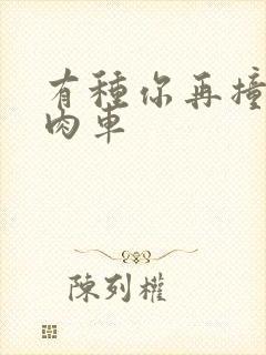 有种你再撞一下肉车