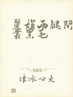 丽娟两腿间一大丛黑毛封面