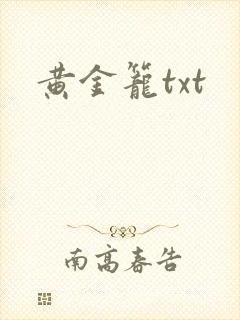 黄金笼txt封面
