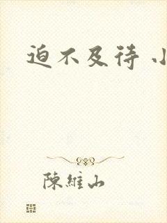 迫不及待 小穴