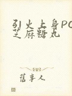 引火上身POP芝麻糖丸封面
