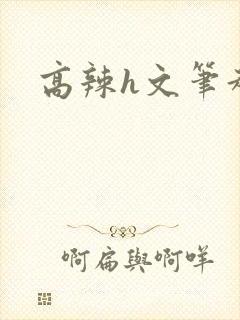 高辣h文笔趣阁