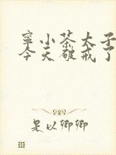 宁小茶太子殿下今天破戒了吗免费阅读封面