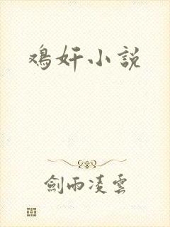 鸡奸小说封面