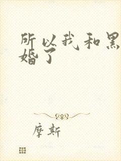 所以我和黑粉结婚了封面