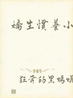 娇生惯养小说