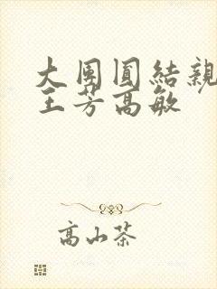 大团圆结亲情会王芳高敏
