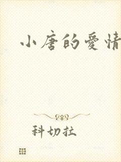 小唐的爱情史封面