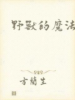 野兽的魔法师封面