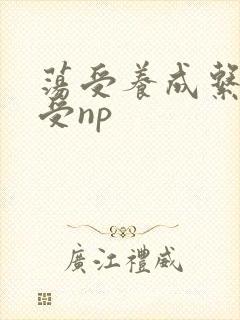 荡受养成系统总受np