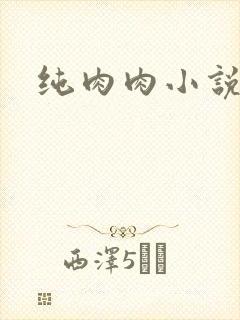 纯肉肉小说