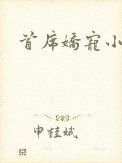 首席娇宠小情人