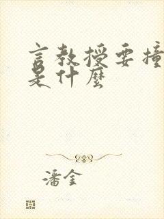 言教授要撞坏了是什么