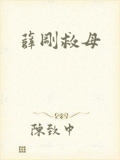 薛刚救母