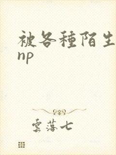 被各种陌生人 np封面