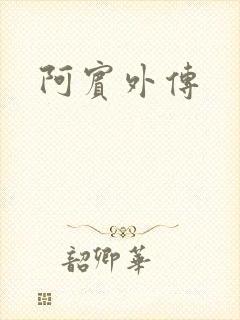 阿宾外传封面