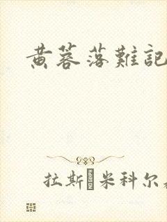 黄蓉落难记封面