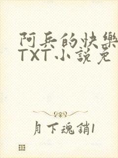 阿兵的快乐生活TXT小说免费阅读全章
