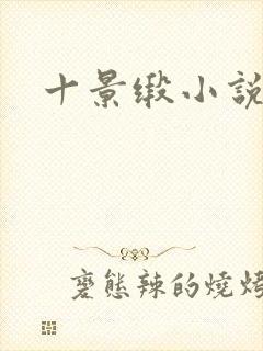 十景缎小说封面