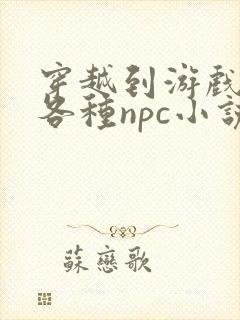 穿越到游戏里和各种npc小说封面