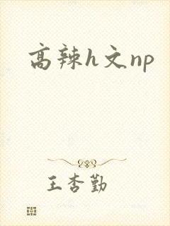高辣h文np
