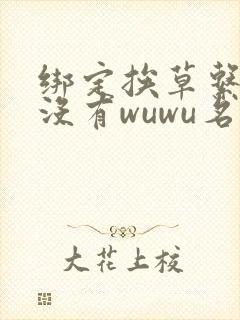 绑定挨草系统后没有wuwu名字