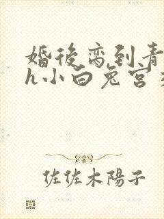婚后脔到青梅哭h小白兔宫交h