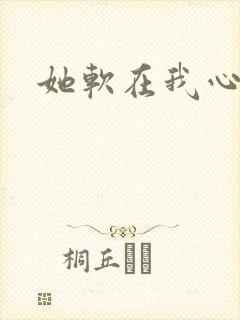 她软在我心上封面
