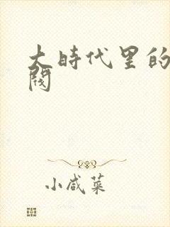 大时代里的小军阀