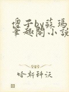 傻子by苏玛丽笔趣阁小说封面