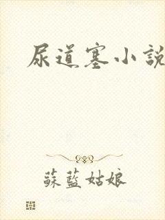 尿道塞小说