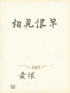 相见恨早封面