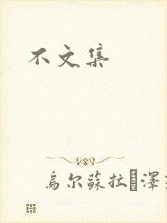 不文集封面