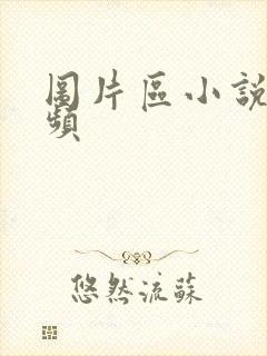 图片区小说区视频