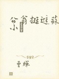 公翁挺进苏玥的小泬封面