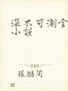 深不可测金银花小说