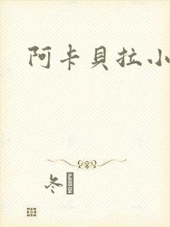 阿卡贝拉小说
