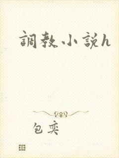 调教小说h封面