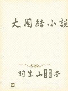 大团结小说下载