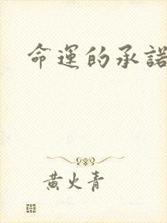 命运的承诺