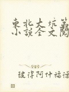 东北大坑第二部小说全文阅读封面