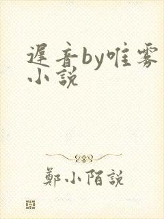 迟音by唯雾的小说
