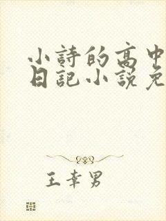 小诗的高中成长日记小说免费阅读