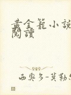 黄金笼小说免费阅读