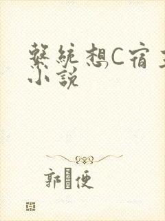 系统想C宿主的小说