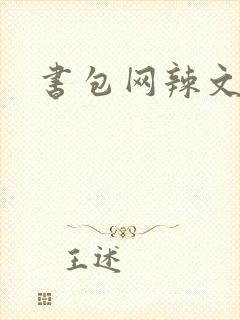 书包网辣文合集封面