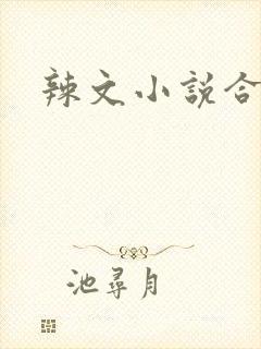 辣文小说合集